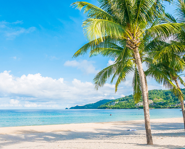 Südseeinsel mit Palmen und mehr als Synoym für eine Fantasiereise oder Traumreise als Entspannungsübung.